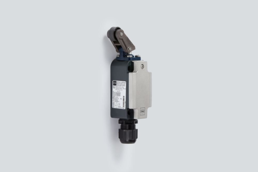 Ex Metal Position Switch Series 8074/2 R. STAHL