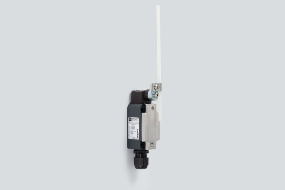 Ex Metal Position Switch Series 8074/2 R. STAHL
