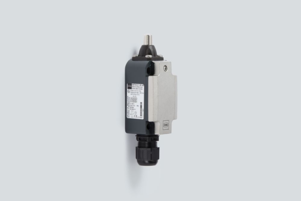 Ex Metal Position Switch Series 8074/2 R. STAHL